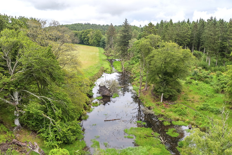 Bamff Estate