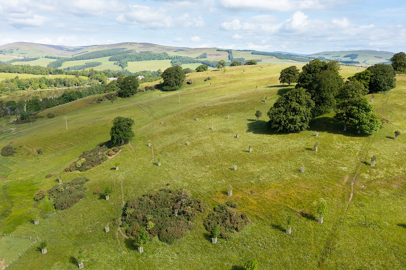 Deerpark