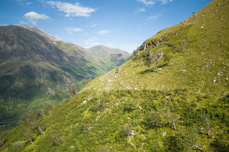 Glen Nevis Estate
