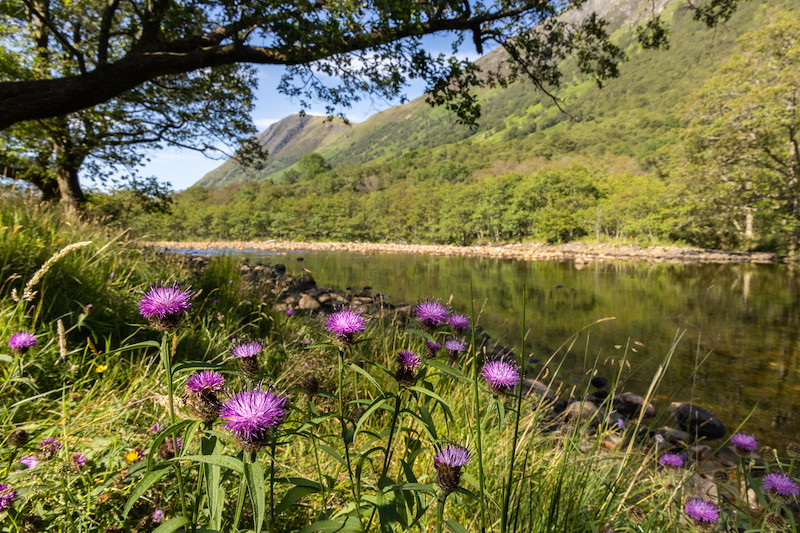 River Nevis