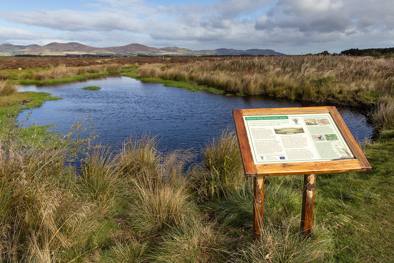 Raised Bog