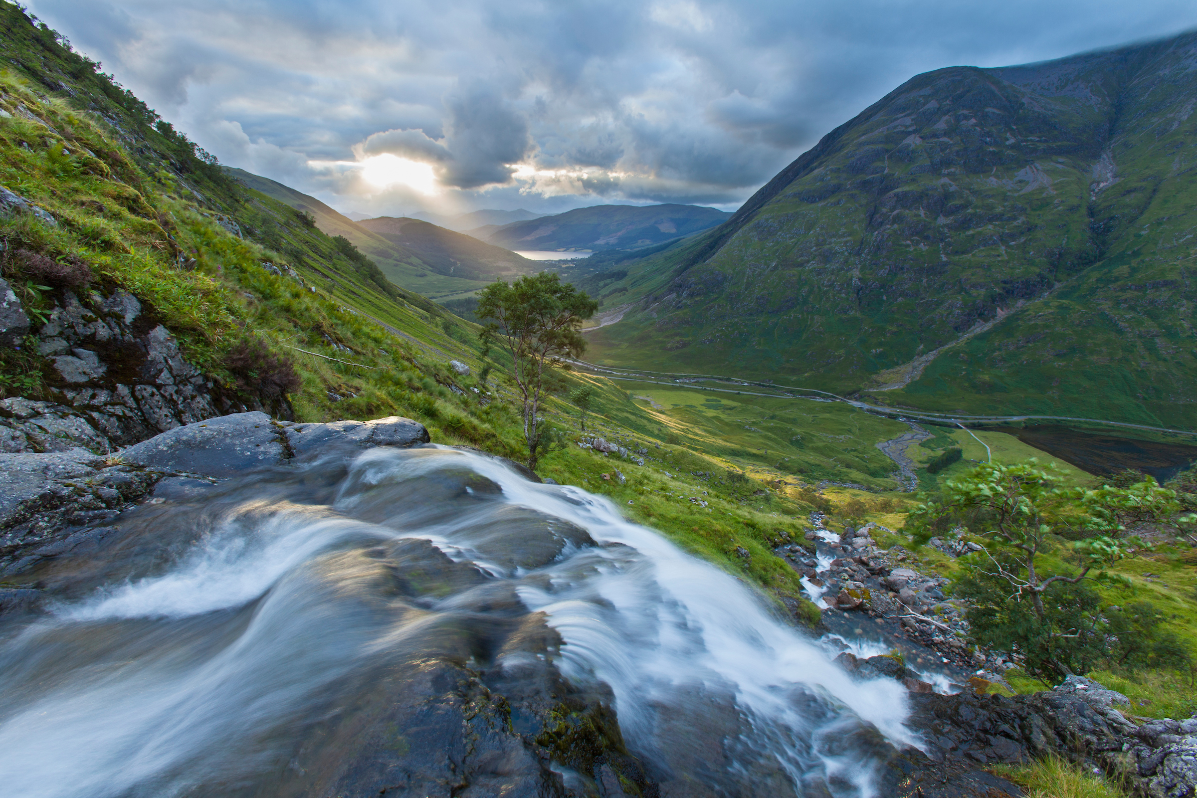 Image illustrating Lochaber landowners unite behind nature restoration
