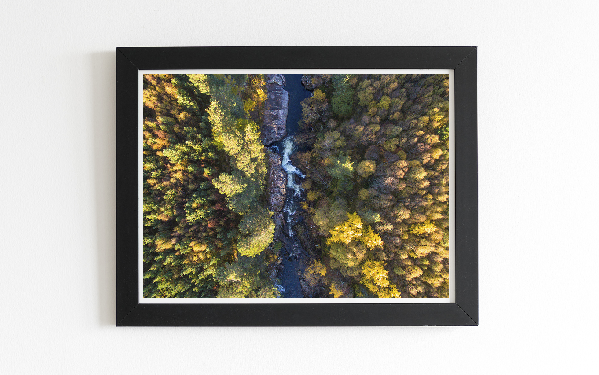 ART PRINTS