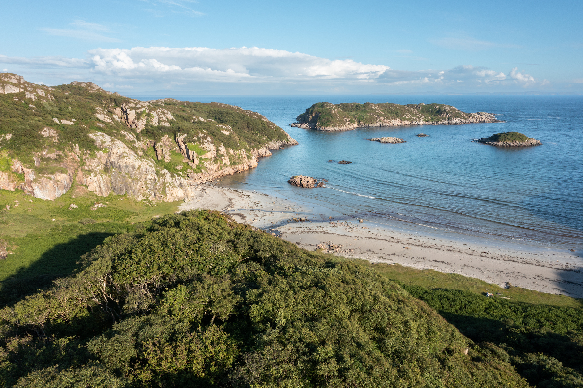 Image illustrating Twice as wild: woodland on Mull peninsula doubles in 30 years