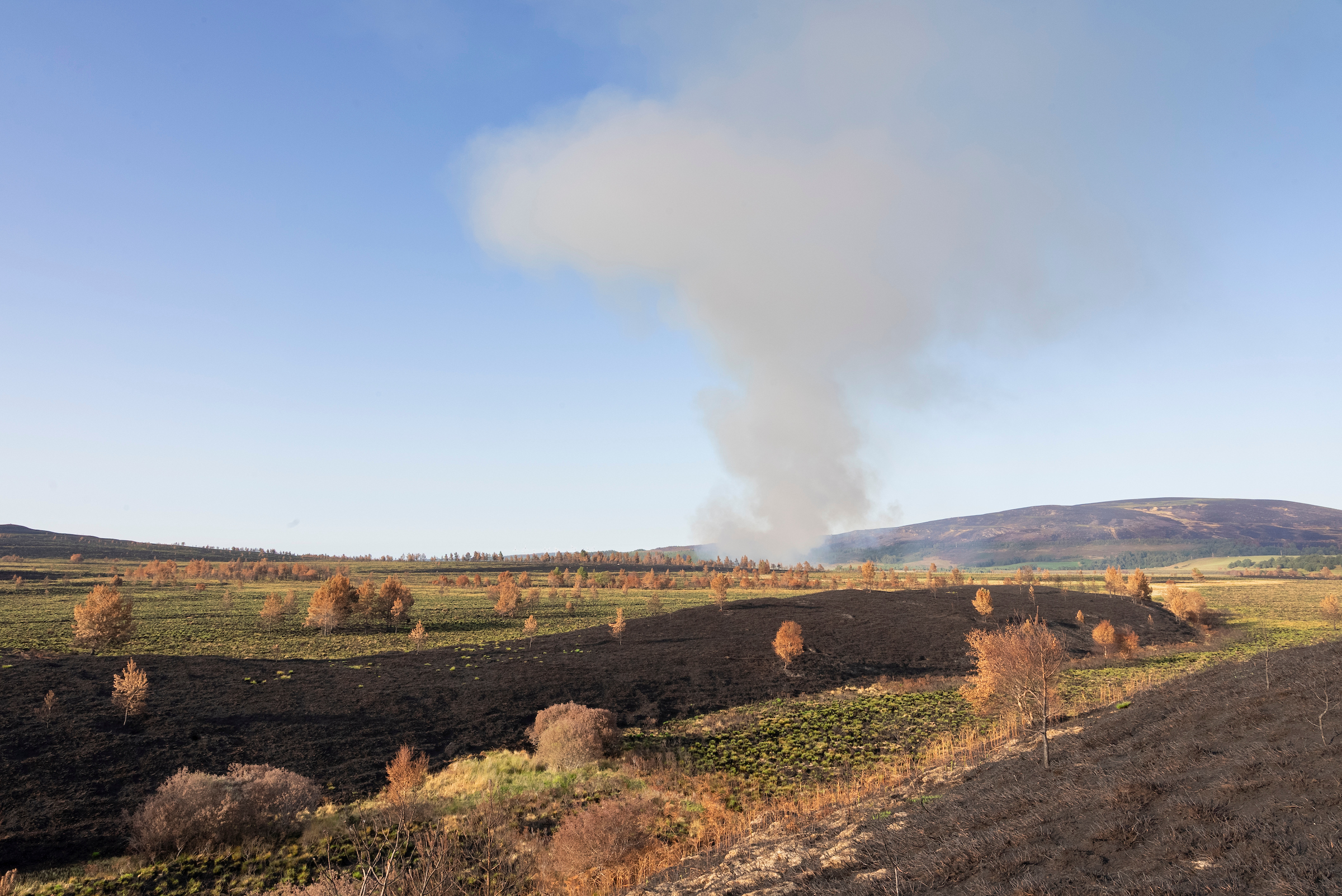 Image illustrating Rewilding conference to examine Scotland’s growing wildfire risk